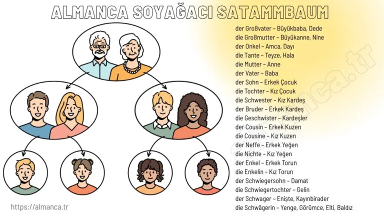almanca soyagaci satammbaum