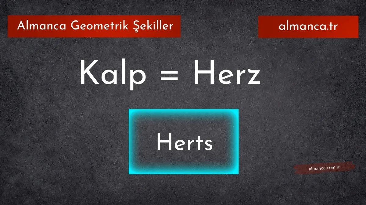 Herz