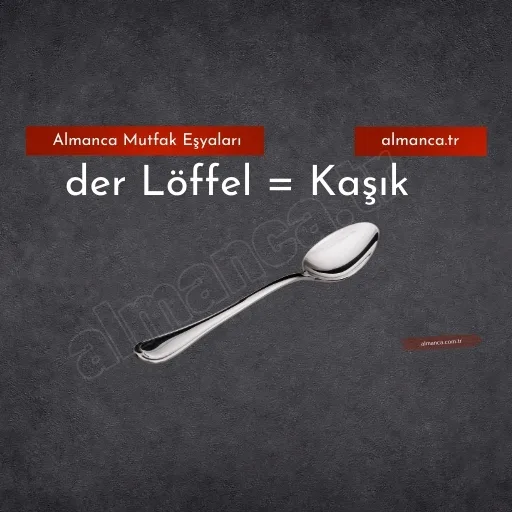 der Löffel = Kaşık