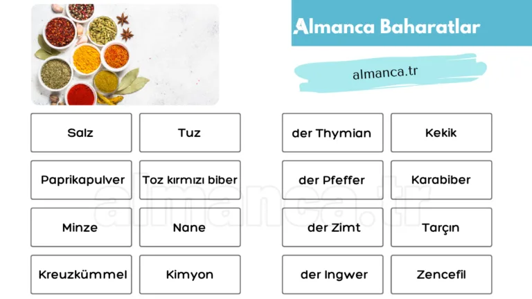 almanca baharatlar ve turkce anlamlari