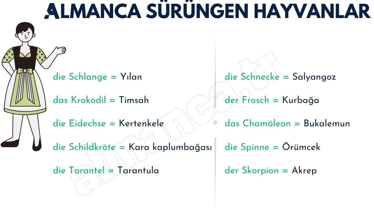 Almanca Sürüngen Hayvanlar