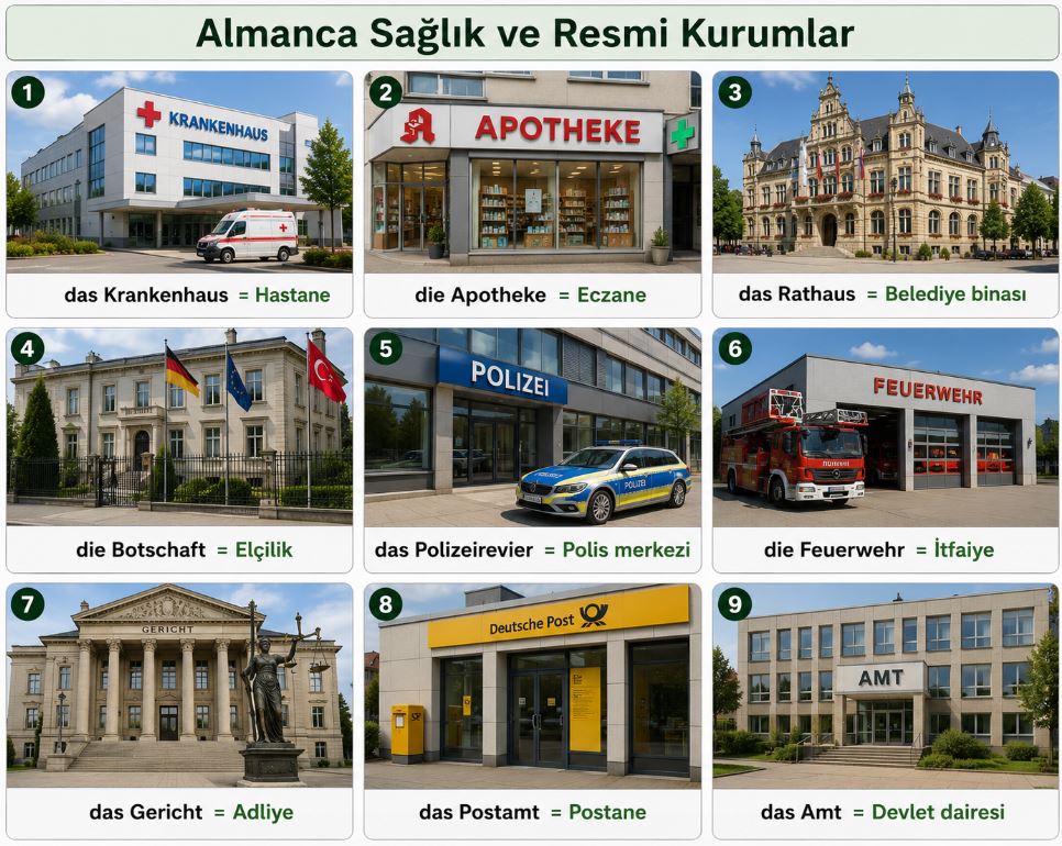 Almanca Sağlık ve Resmi Kurumlar