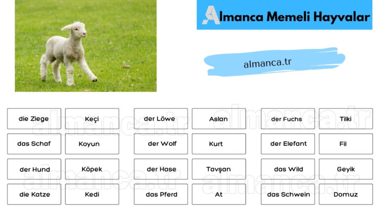 Almanca Memeli Hayvanlar