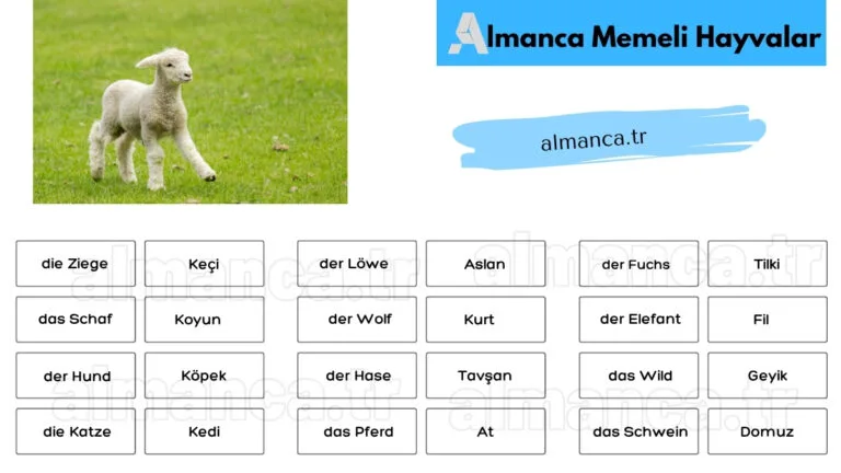 Almanca Memeli Hayvanlar