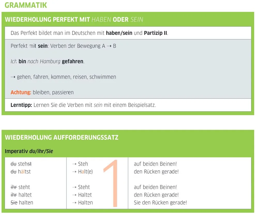 almanca schmerzen termine vergangenheit agrilar randevular gecmis 4