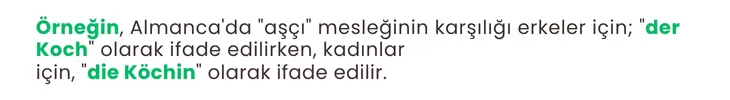 almanca meslekler kadin erkek artikel almanca meslekler kadin erkek artikel 1
