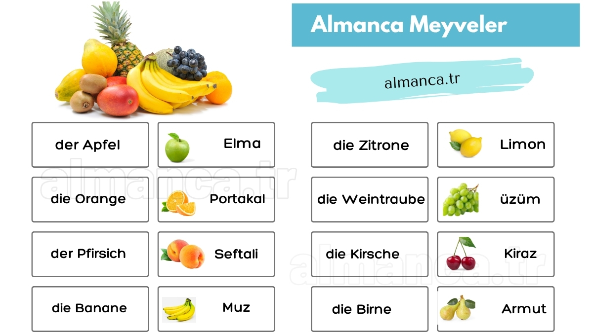 almanca meyveler ve turkce anlamlari