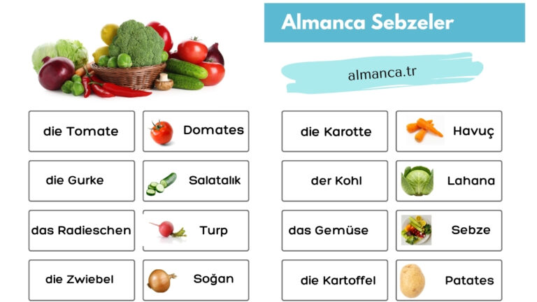 almanca sebzeler ve turkce anlamlari